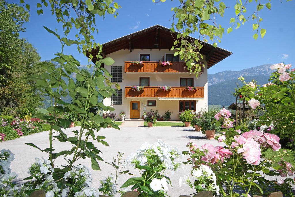 Rosspointnerhof Hotel Haus im Ennstal Exterior foto